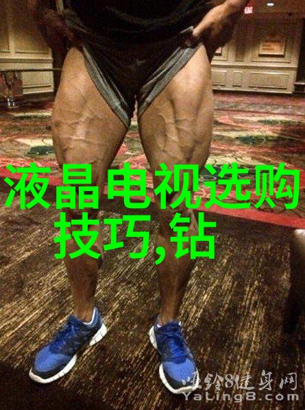 西方文化与东方文化差异探究