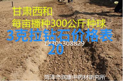 手工活的温馨诱惑探索无押金手工坊的魅力