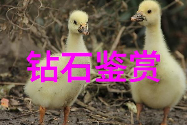 职业热门榜揭秘就业前景最好的专业排名