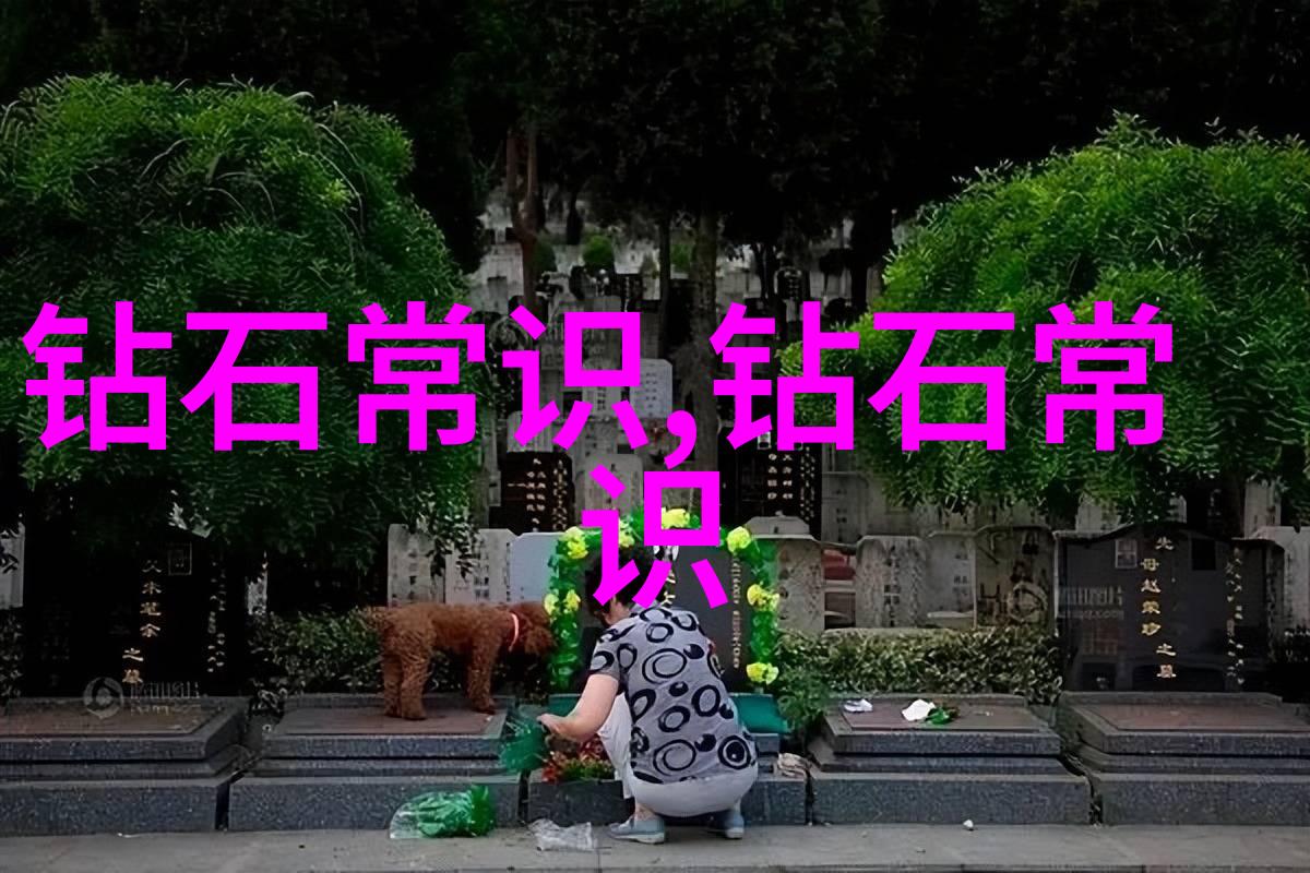文化遗产保护与历史文献研究考古学家的品检工作