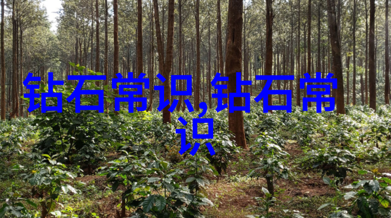 宝玉石鉴赏答案 - 揭秘宝玉石的价值从颜色到透光度