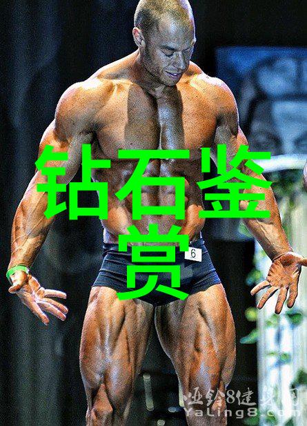 翡翠宝石的光芒揭秘色泽纹理与价值的鉴赏艺术
