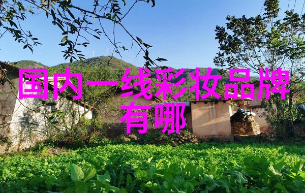 精选还是冒险东陵玉收藏与投资的两难选择