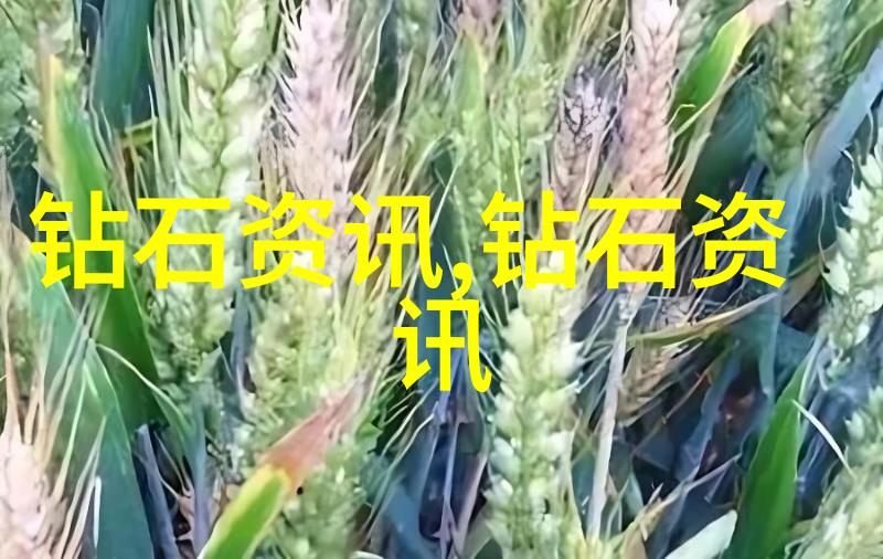 国际学生在选择中国大学时应关注哪些排名因素