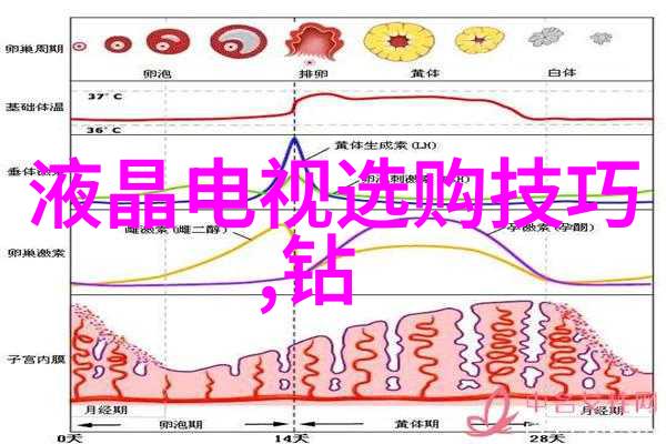 翡翠鉴赏绿玉之美古色斑斓