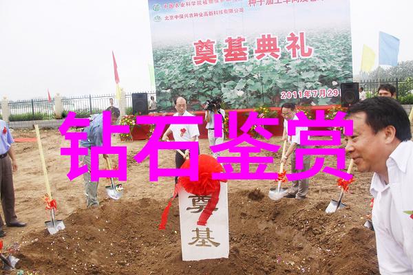璀璨梦想婚戒定制艺术探索