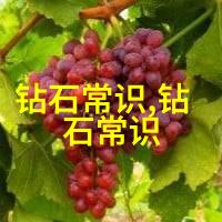 大香伊蕉人在播放2019揭秘一代网络红人背后的故事