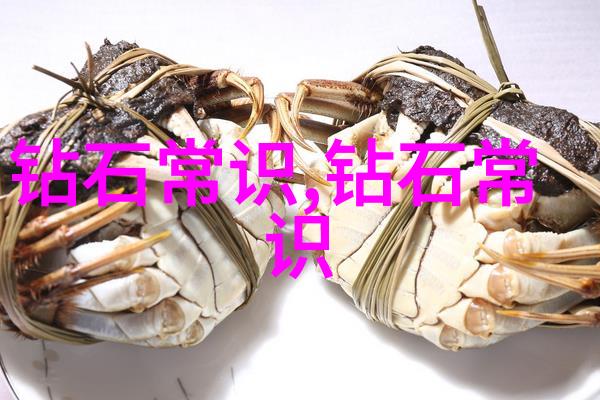 工艺技术的核心支撑精细化工制品生产的关键所在