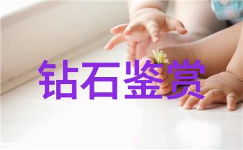 星辰变后传小说-重生之逆袭从废柴到宇宙霸主