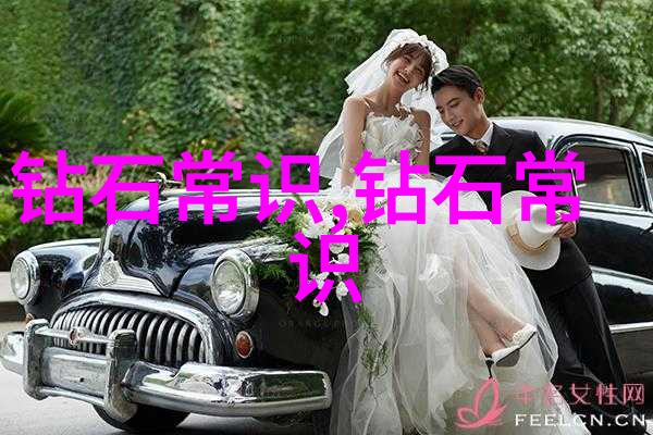 全球十大钻石之冠