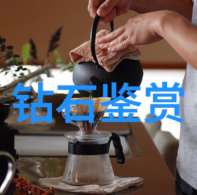 财务智囊团揭秘审计学的奥秘
