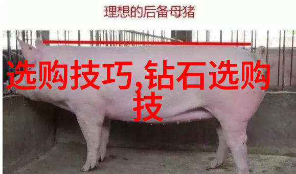 工业设计创造未来生活的艺术与科技融合
