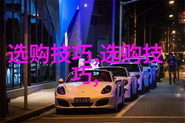 品鉴与鉴赏揭秘美酒佳酿的艺术之旅
