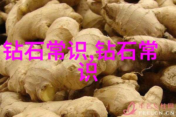 司法鉴定中心收费标准解读费用结构与服务内容深度分析