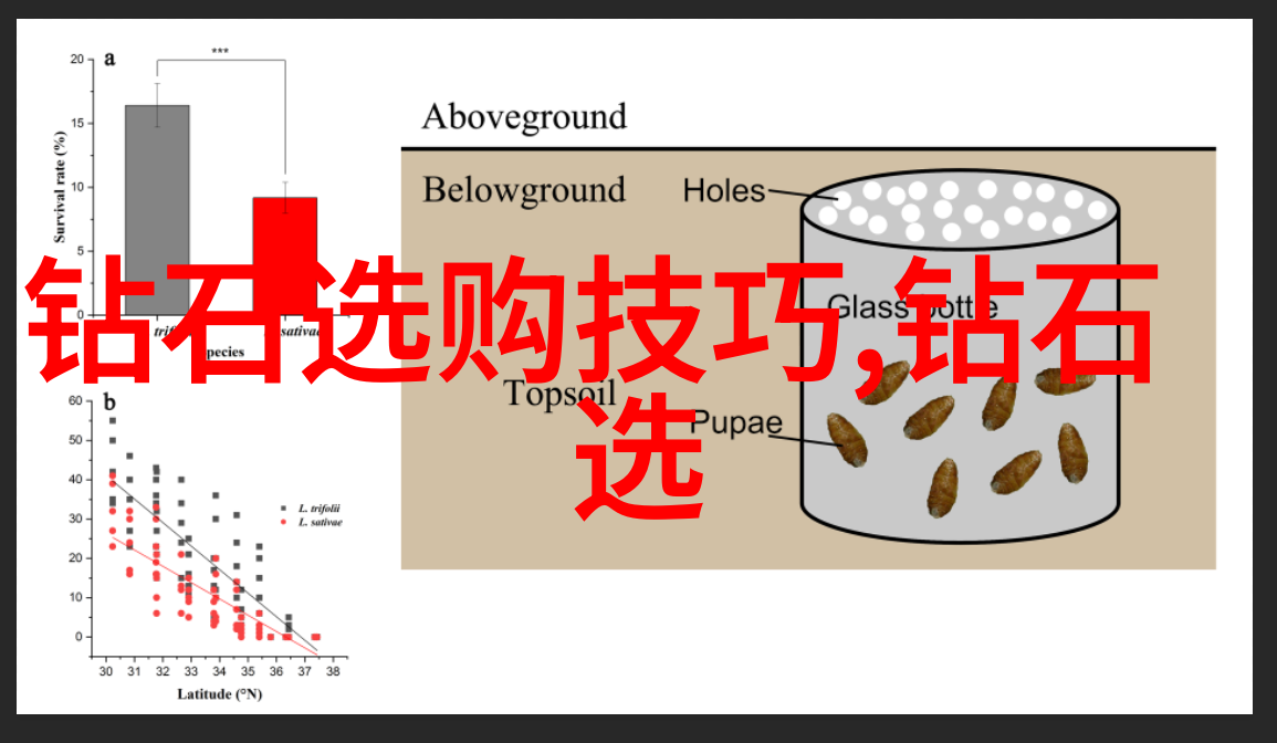 北京钻石鉴定实务研究探索典型鉴定机构与技术方法