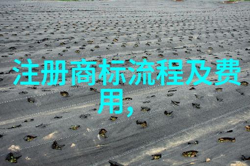 墨水与心声书法家的创作旅程