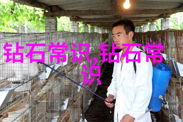 八仙过海神秘的渡船与古今交汇