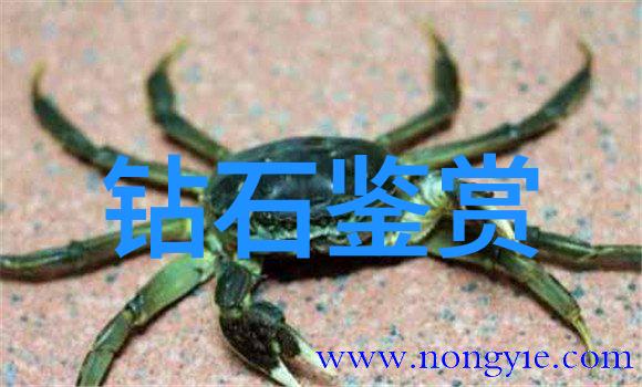 地理学科分类地形气候与人类活动的地球视角