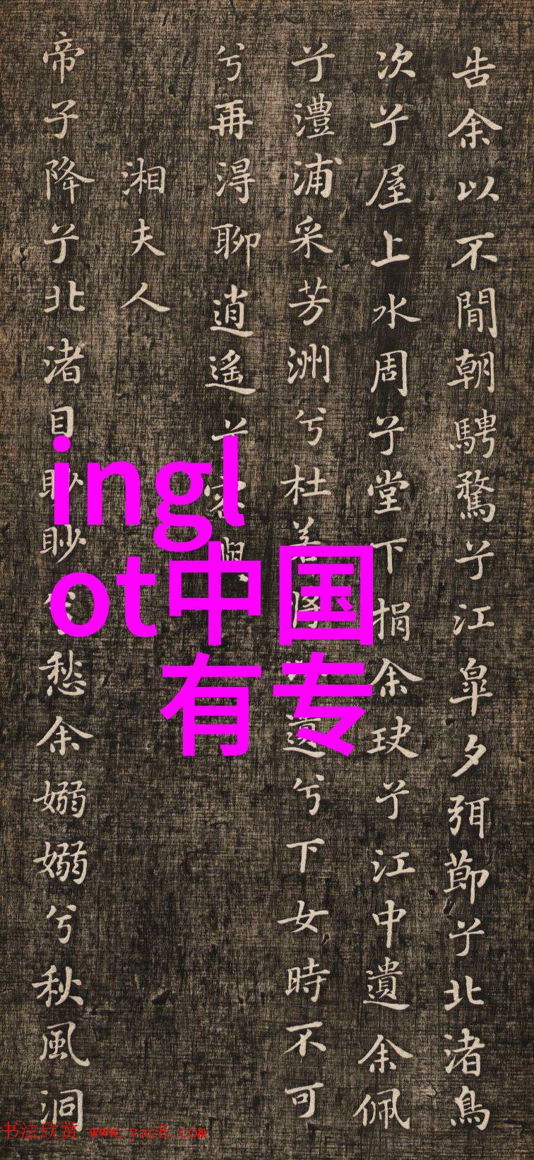 字里行间的秘密揭开名字背后的传说与故事