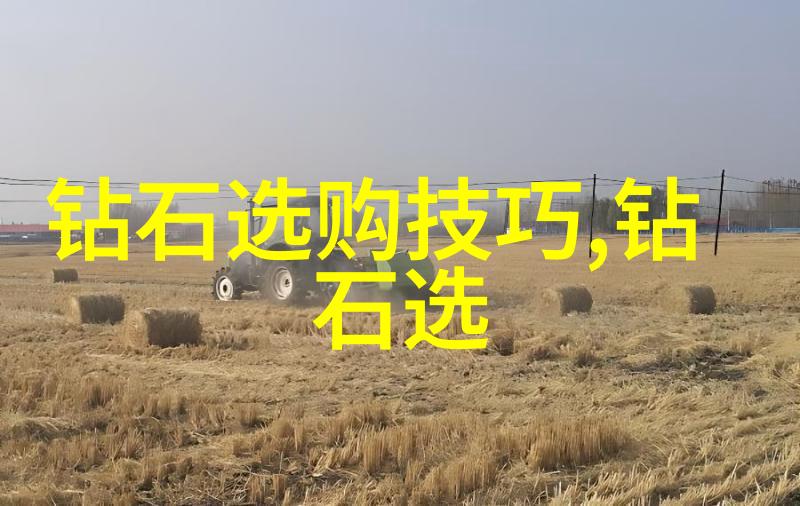 手工制作工艺我是如何用爱把废旧衣物变成时尚单品的