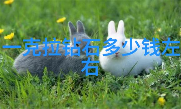 璀璨夺目宝石项链的魅力