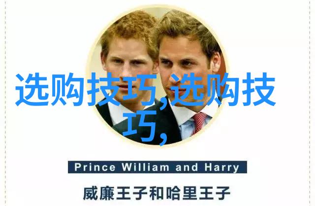 奇幻冒险-宝诗龙传说中的守护者与迷失的诗篇