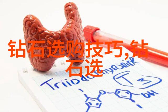 深入探究审计学专业的实践应用与未来发展趋势