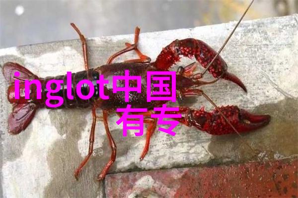 工艺设计与执行工艺路线规划与操作流程图制备