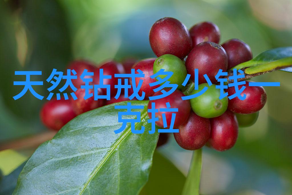 工程造价专业学什么-精准预算与成本控制揭秘工程造价专业的核心课程