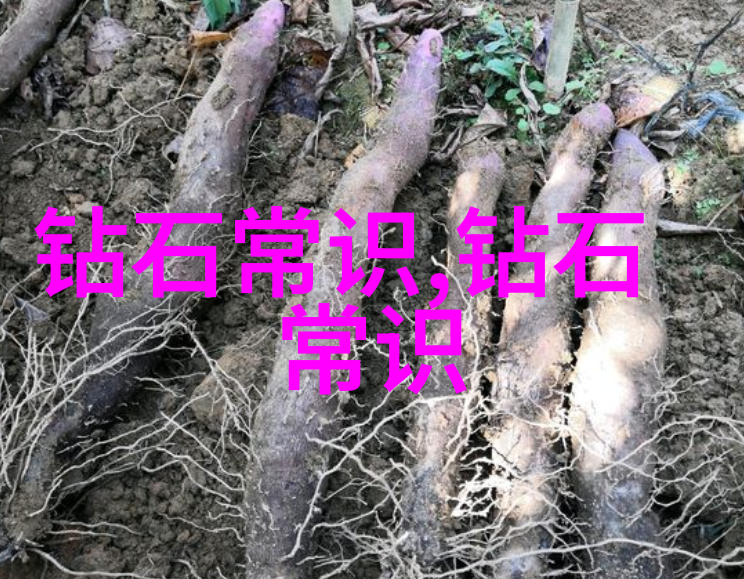 如何选择一家真正国家认可的玉石鉴定机构