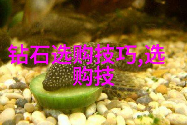 球场上的霸主揭秘世界杯前十强的竞技秘诀