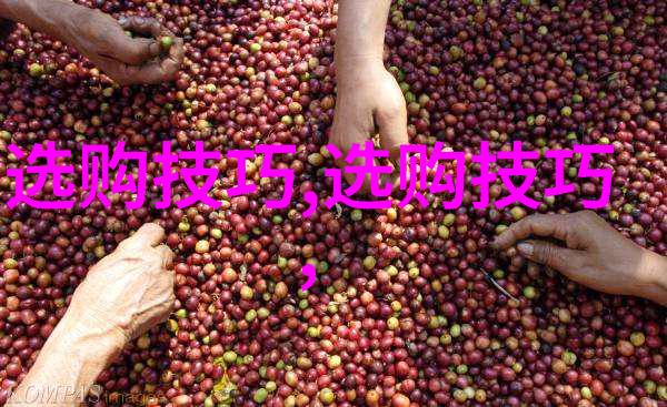 探秘宝藏-揭秘世界最大蓝钻深海中的璀璨巨石