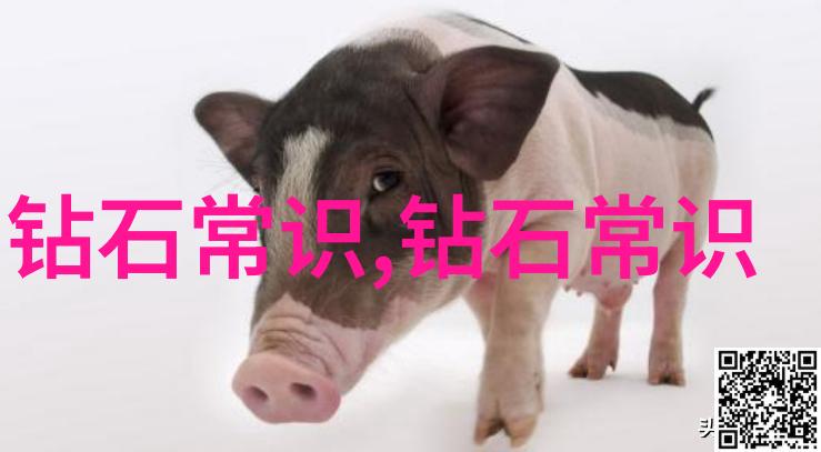红钻-追逐红钻梦想背后的故事与未来的展望