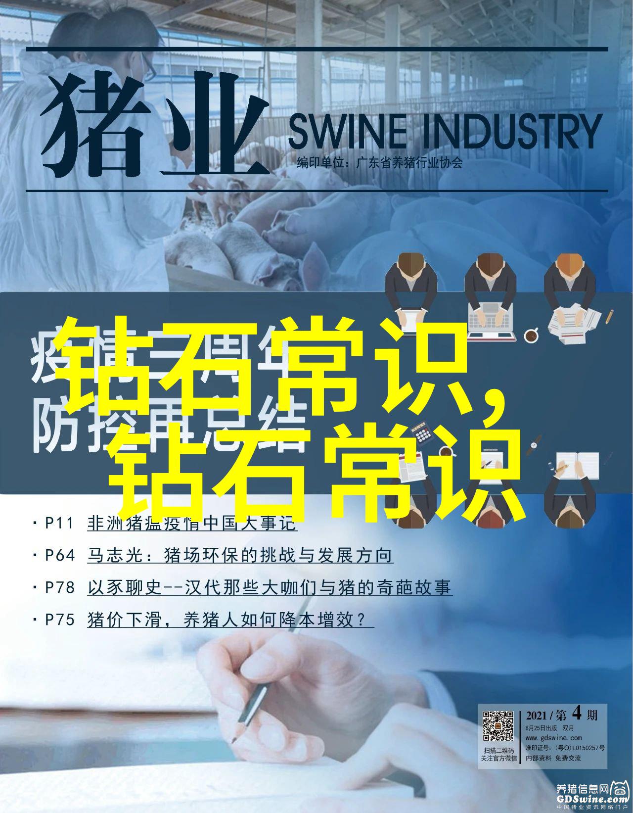 小镇上的超级英雄猫头鹰与盗窃的神秘