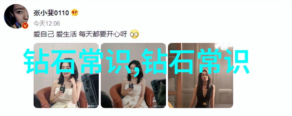品味之辨品鉴与鉴赏的奥秘