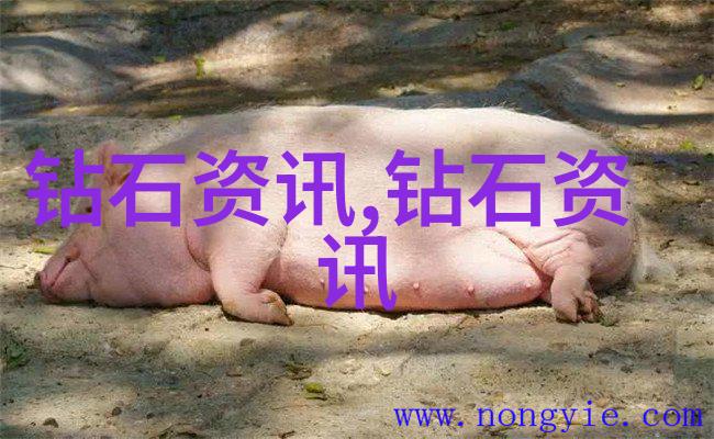 工艺精髓生产流程图解与技术秘诀