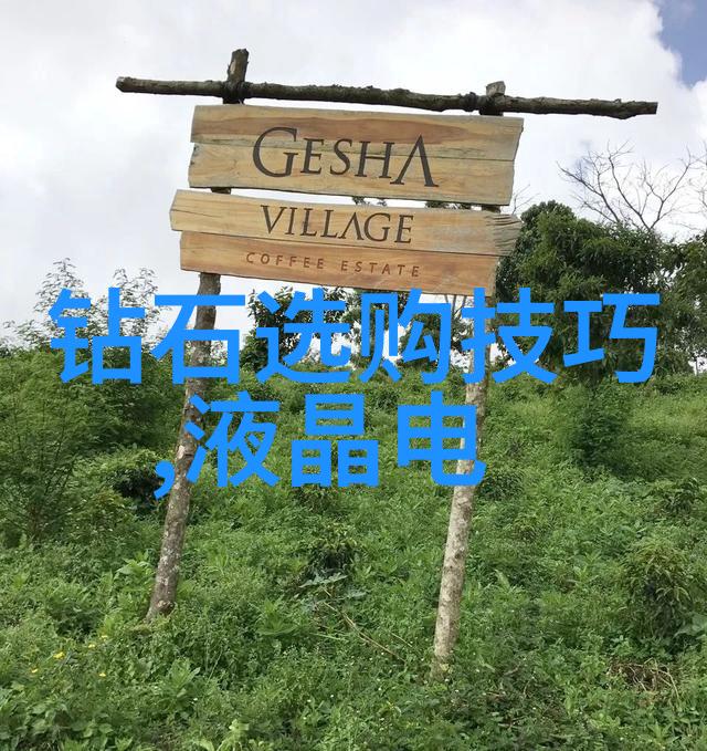中国地质大学珠宝鉴定专业我在这里学的就是如何识别真正的钻石