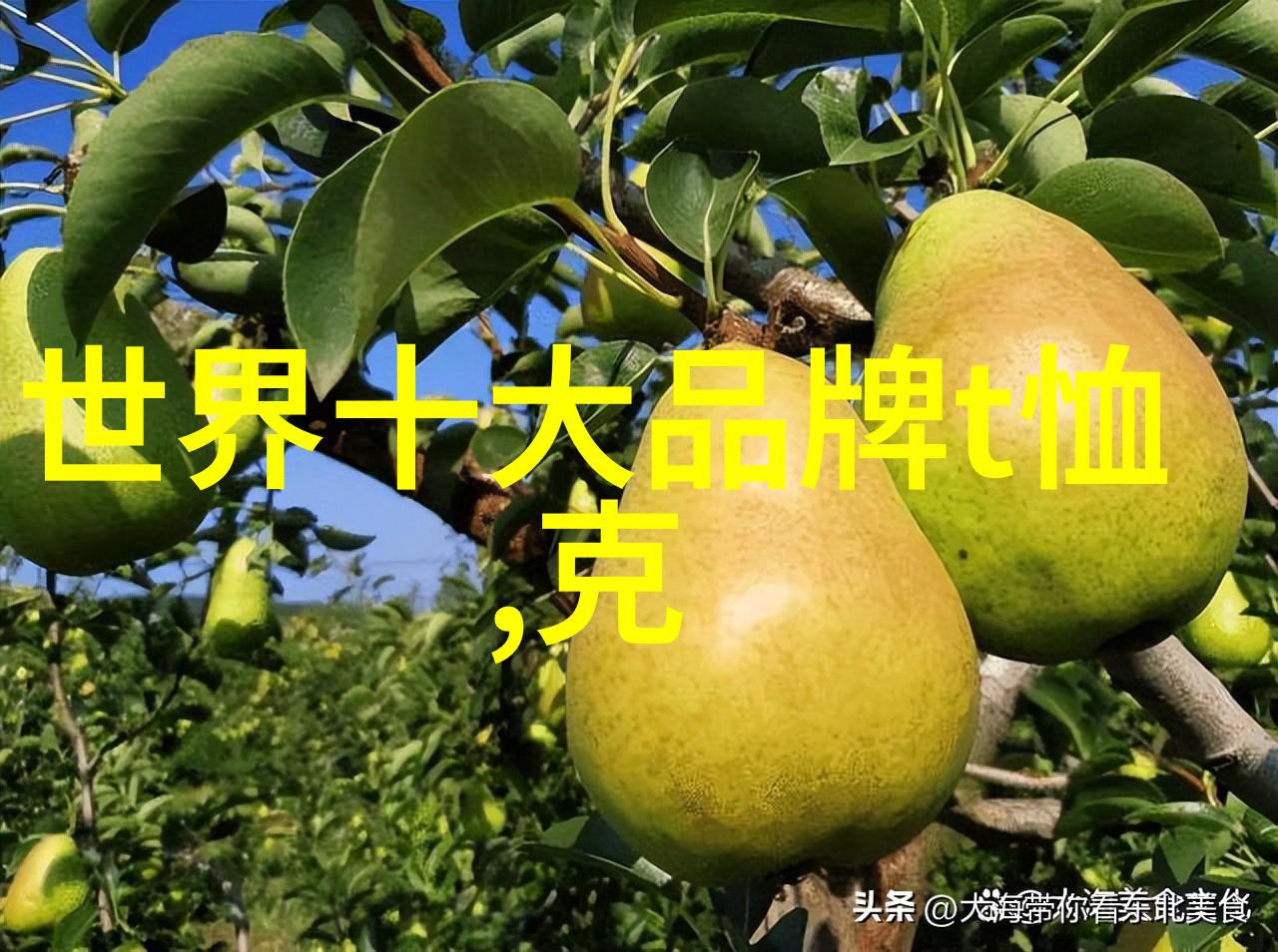 钻石鉴赏我的宝石故事从无名小卒到闪耀明星的奇遇