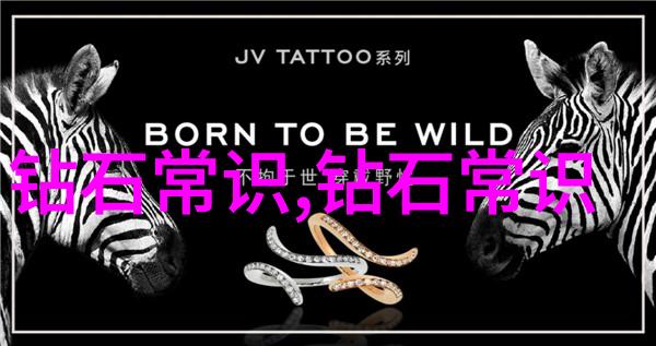 装乖by摇摇兔揭秘这个网络红人如何用幽默和智慧征服万千粉丝