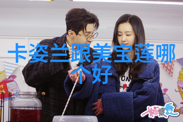中华文化的瑰宝传统艺术与现代韵律