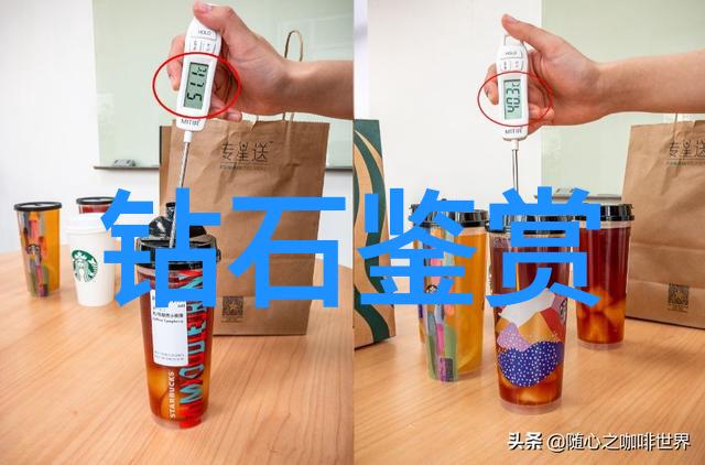 手工奇迹十大金钱树种