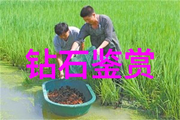 工程设计中的工艺流程是怎样的分类体系