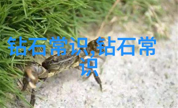 玉石保养技巧如何正确保养玉石珠宝
