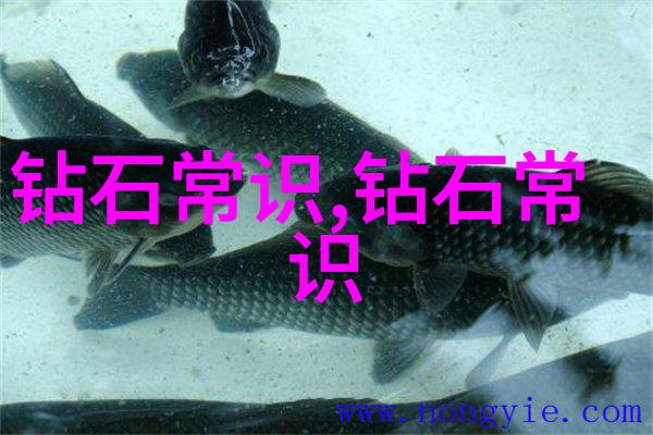 雅韵悠扬诗经小雅的哲思与情感