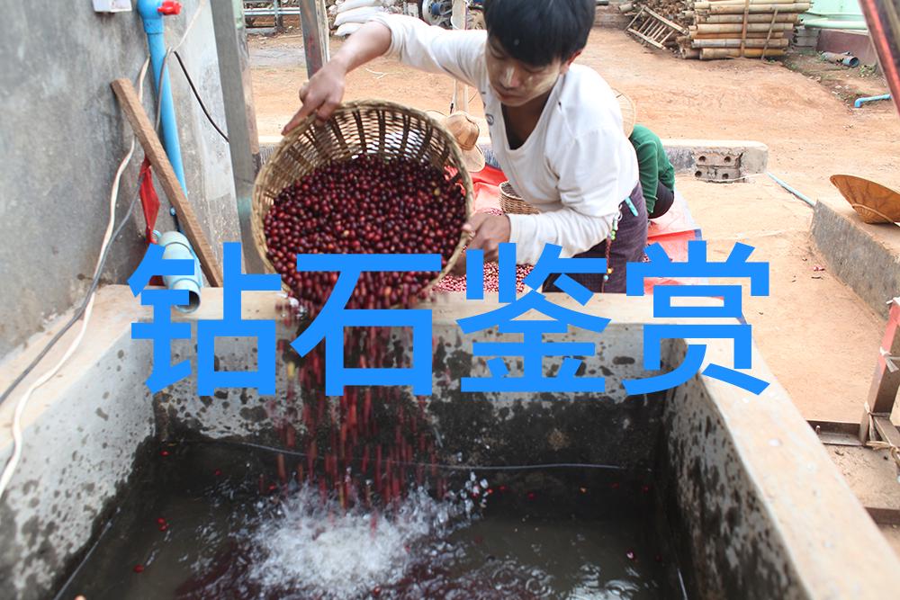 孔雀石的发现与研究历史又是怎样的