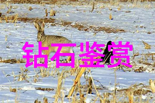 中国河南人造钻石-红土之光河南人造钻石的奇迹与挑战