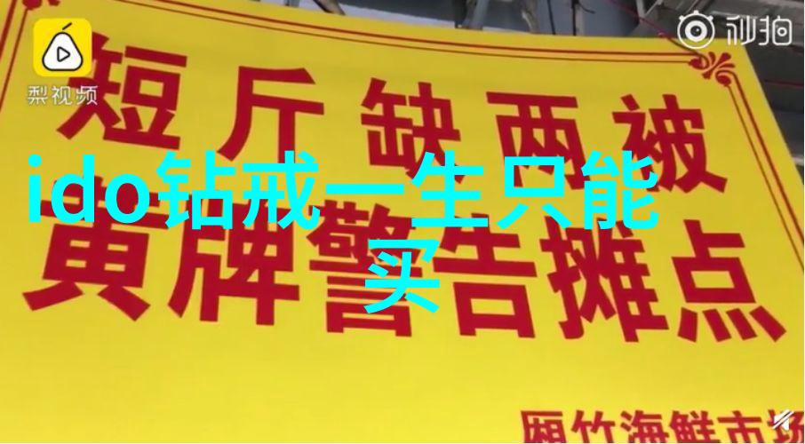 纱裙梦想师婚礼时尚的绣品匠人