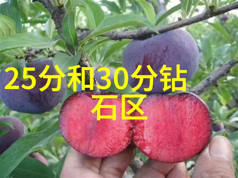 工艺创新引领制造未来如何通过概念化提升生产效率与产品质量