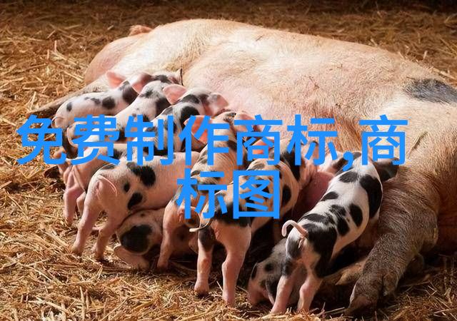 导播我的大哥