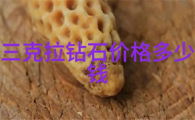 中西文化差异深度探究东西方价值观对比